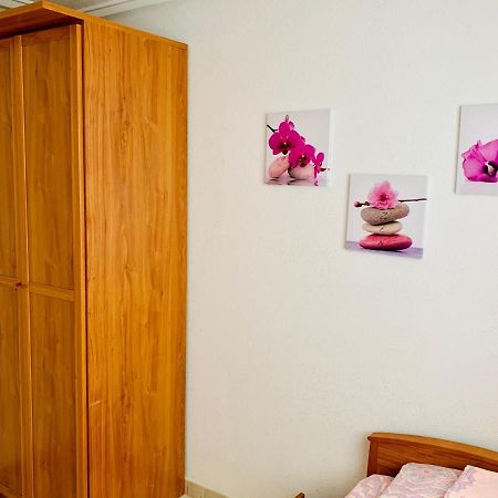 Apartamento Felix De La Fuente Torrevieja Dış mekan fotoğraf