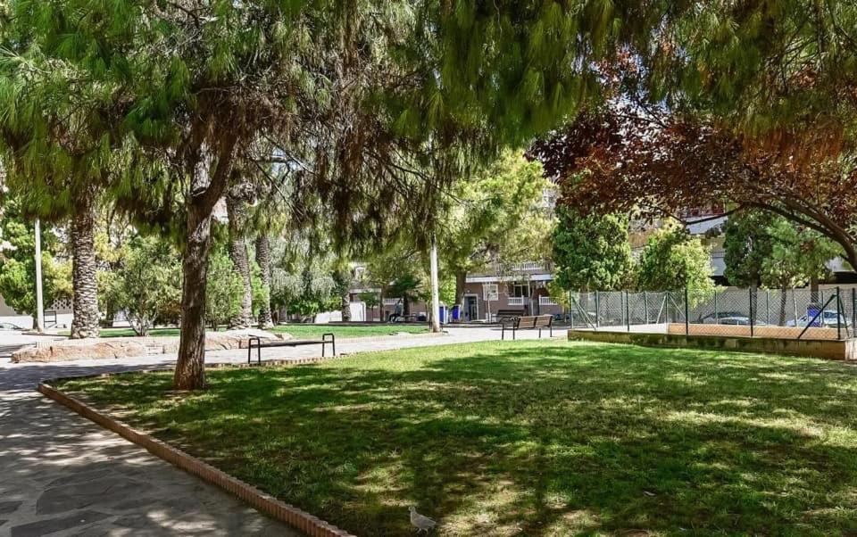 Apartamento Felix De La Fuente Torrevieja Dış mekan fotoğraf