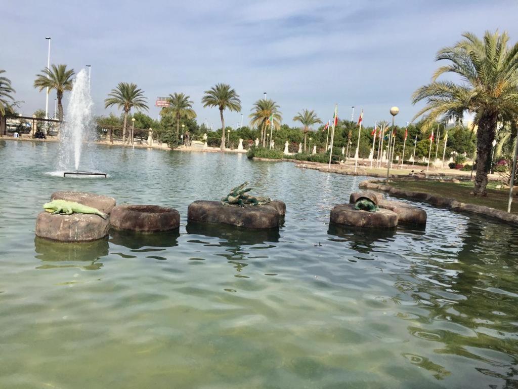 Apartamento Felix De La Fuente Torrevieja Dış mekan fotoğraf